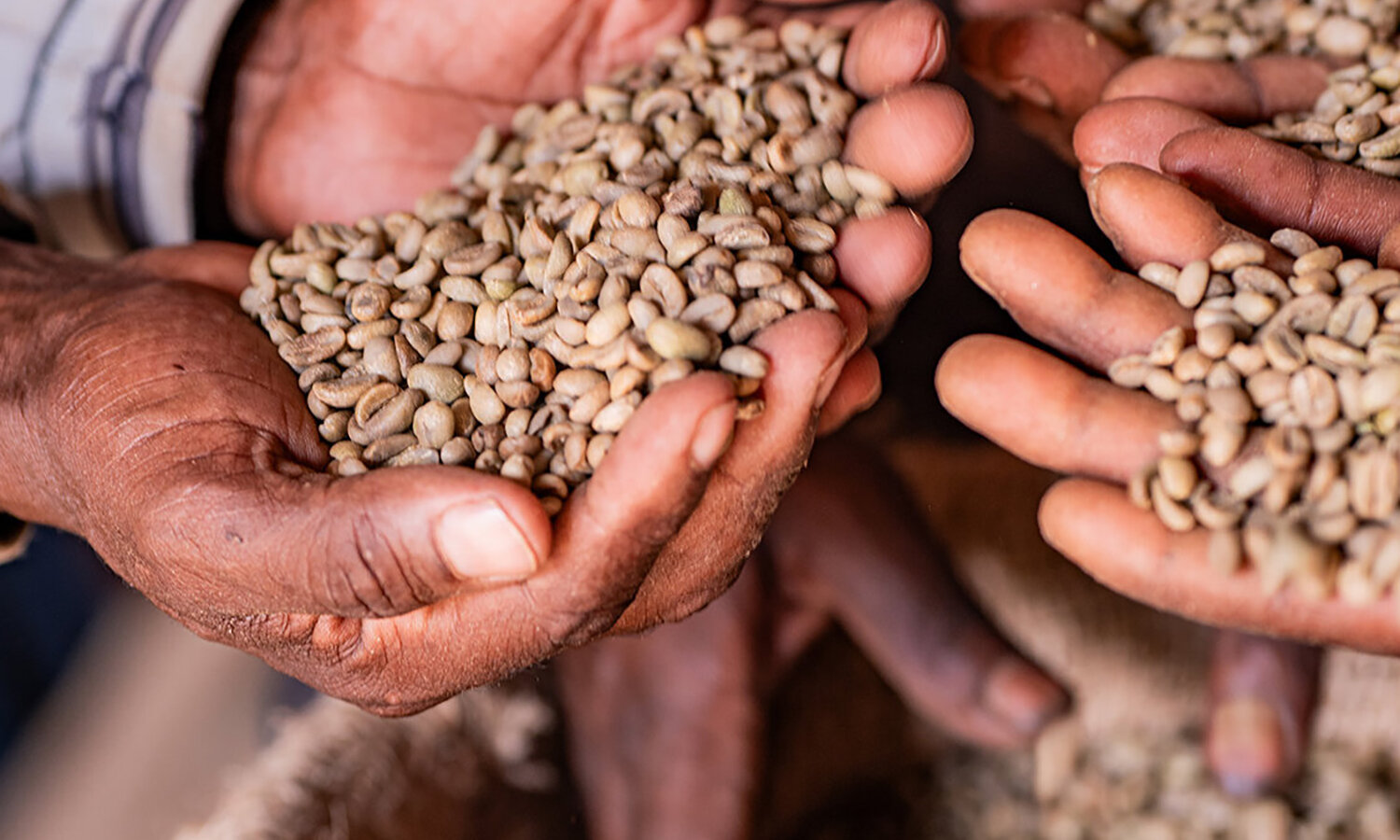 café unique - Kaffeewelten - uniqueBean